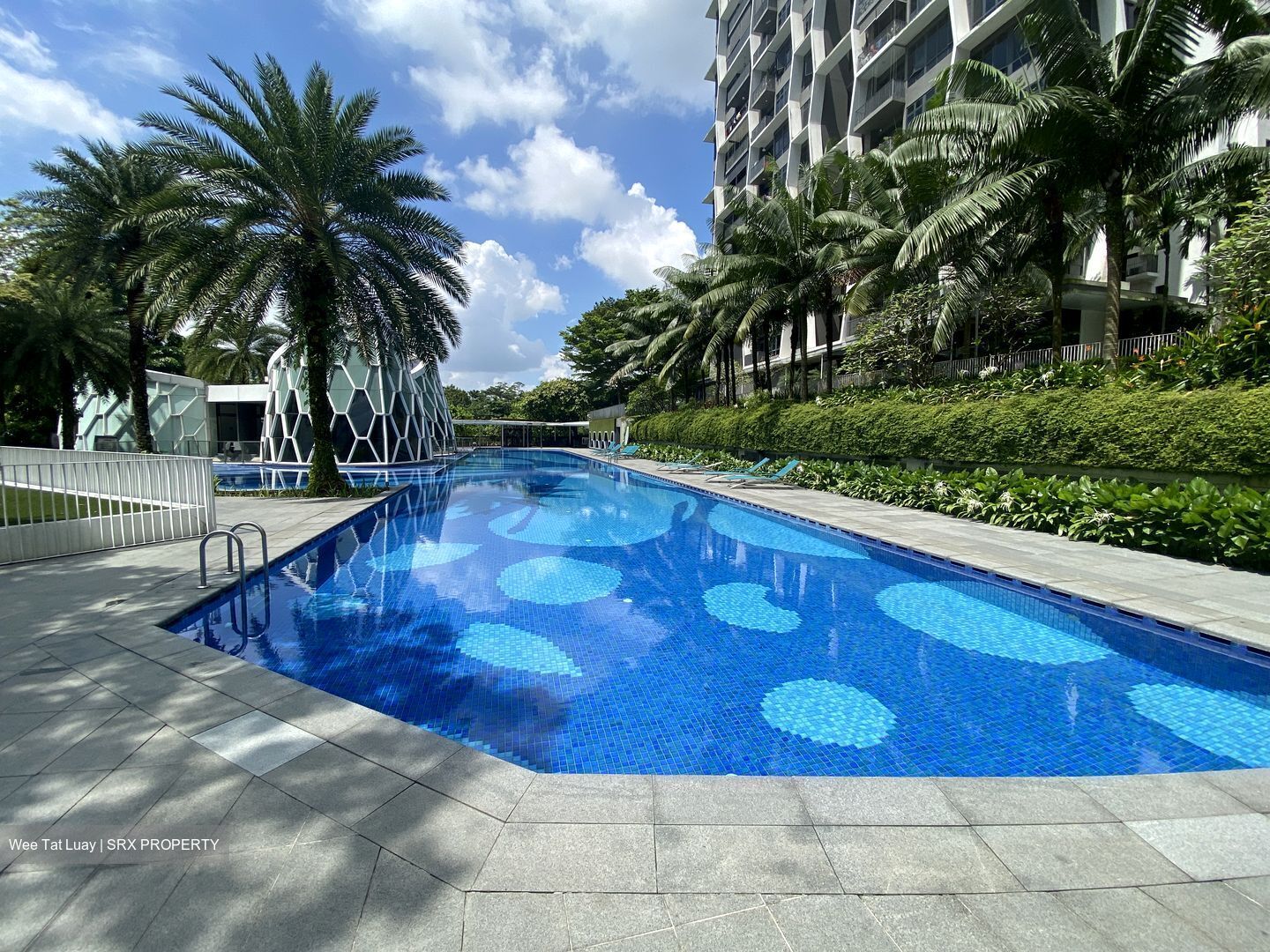 Eco Sanctuary (D23), Condominium #566553131